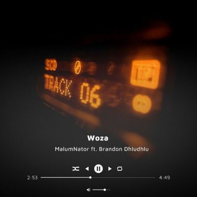 MalumNator Woza Mp3 Download