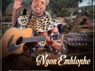 Nyon’emhlophe Libuswa Ngenombolo Mp3 Download