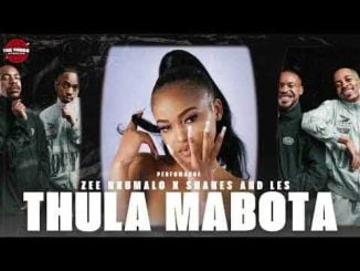 Shakes & Les Thula Mabota Mp3 Download