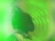 Charisse C Angisafuni Mp3 Download