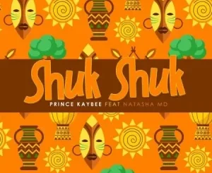 Prince Kaybee Shuk Shuk Mp3 Download