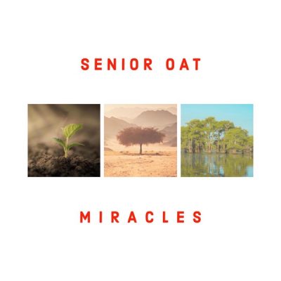 Senior Oat Another Day Mp3 Download
