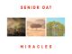 Senior Oat Reason To Pray Radio Edit Mp3 Download