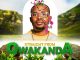 AfroToniQ Umsholozi Mp3 Download