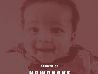 Buddynice Ngwanake Mp3 Download