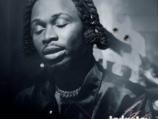 MOONLIGHT AFRIQA Industry Life Mp3 Download