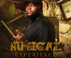 Maero Mfr Souls Musical Experience 038 Mp3 Download