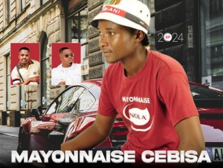 Mayonnaise Cebisa Iyacelwa Intombi Mp3 Download