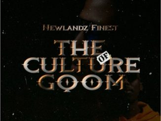 Newlandz Finest Masheleni Mp3 Download