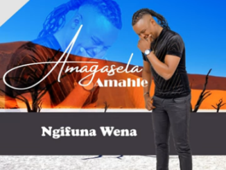 Stabhilithi Ngiyabheja Mp3 Download