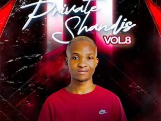 Tots SA Private Shandis Vol 8 Mix Download