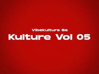 Vibekulture SA Code 27 Mp3 Download
