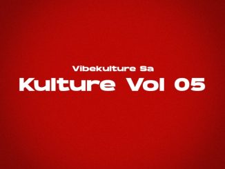 Vibekulture SA Groove Mode Mp3 Download