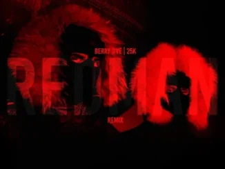 Berry Jive REDMAN REMiX Mp3 Download