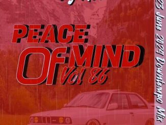 DJ Ace Peace Of Mind Vol. 86 Mix Download