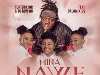 Fortunator Mina Nawe Mp3 Download