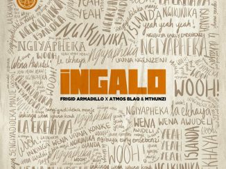 Frigid Armadillo Ingalo Mp3 Download
