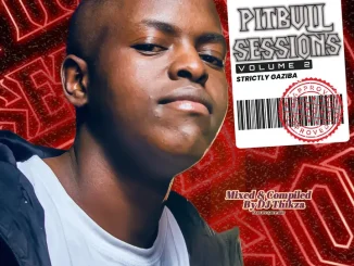 Gaziba Pitbull Sessions Vol 2 Mp3 Download