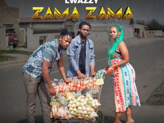 Lwazzy Zama Zama EP Download