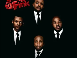 Sponge 101 3 Step To Funk Mp3 Download