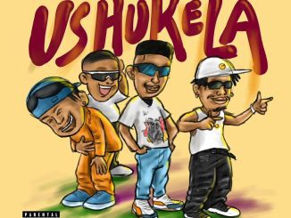 Audiomarc Ushukela Mp3 Download