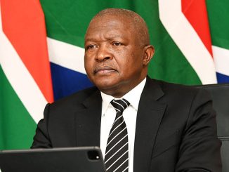 David Mabuza Net Worth