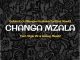 Golden Djz Changa Mzala Mp3 Download