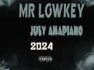 Mr Lowkey July 2024 Amapiano Mix Download
