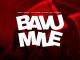 Scoop Lezinto Bavumile Mp3 Download