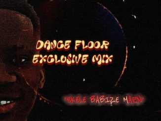 Skele 03 Dance Floor Exclusive Mix Download
