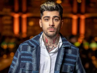 Zayn Malik Net Worth