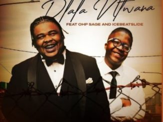 031choppa Dlala Ntwana Mp3 Download