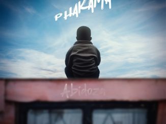 Abidoza Ngikuthando Njalo Mp3 Download