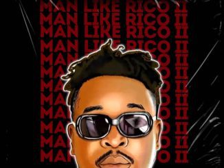 DJ Rico Action Figures 2.0 Mp3 Download