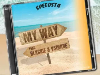 DJ Speedsta My Way Mp3 Download