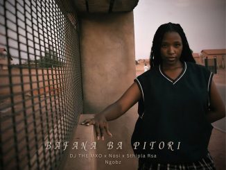 DJ THE MXO BAFANA BA PITORI Mp3 Download