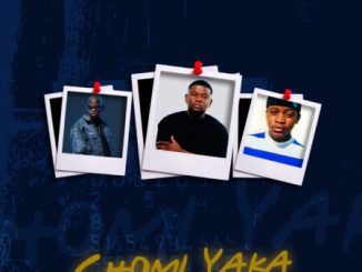 S.N.E CHOMI YAKA Remix Mp3 Download