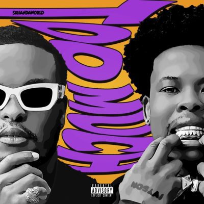 SKHANDAWORLD TOO MUCH Mp3 Download