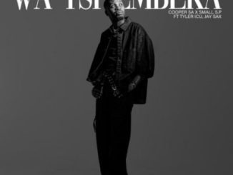 Cooper SA Wa Tshembeka Mp3 Download
