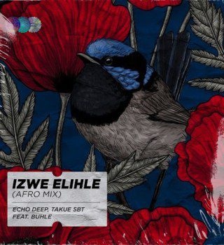Echo Deep Izwe Elihle Mp3 Download