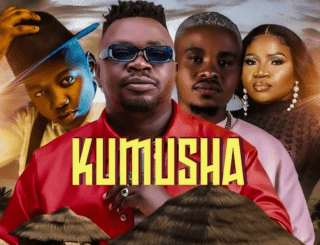 Mr Brown Kumusha Mp3 Download