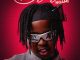 PRVIS3 Dlala Ngami Mp3 Download