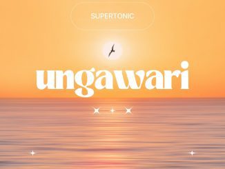 Supertonic UNGAWARI Mp3 Download