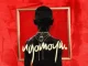 DJ Maphorisa Feel A way Mp3 Download