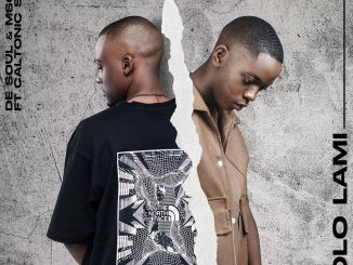 De Soul Izolo Lami Mp3 Download