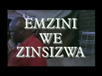 Emzini Wezinsizwa Wheeling And Dealing Mp3 Download