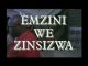 Emzini Wezinsizwa Wheeling And Dealing Mp3 Download