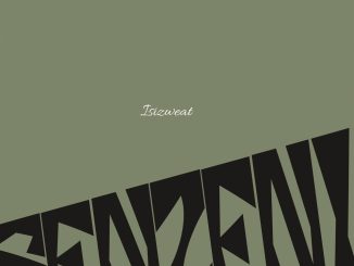 Isizweat Senzeni Mp3 Download
