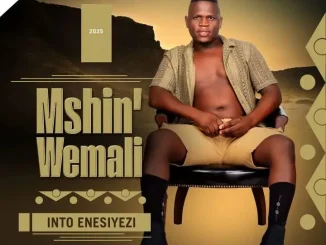 MSHINWEMALI Mbono Yenu Mp3 Download