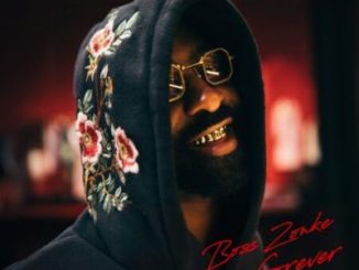 Riky Rick Cherished Mp3 Download